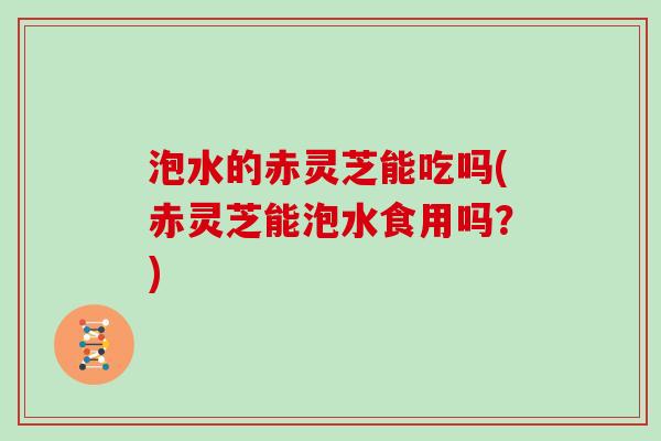 泡水的赤灵芝能吃吗(赤灵芝能泡水食用吗？)