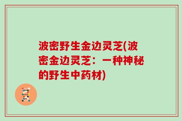 波密野生金边灵芝(波密金边灵芝：一种神秘的野生中药材)