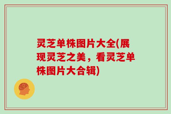 灵芝单株图片大全(展现灵芝之美，看灵芝单株图片大合辑)