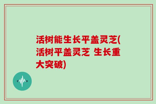 活树能生长平盖灵芝(活树平盖灵芝 生长重大突破)-第1张图片-灵芝大师 活树能生长平盖灵芝(活树平盖灵芝 生长重大突破)-第1张图片-灵芝大师
