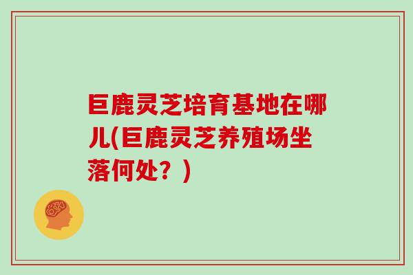 巨鹿灵芝培育基地在哪儿(巨鹿灵芝养殖场坐落何处？)