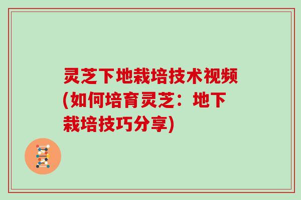 灵芝下地栽培技术视频(如何培育灵芝：地下栽培技巧分享)