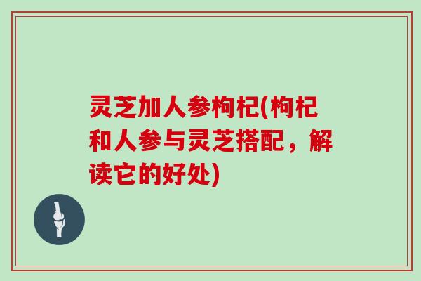 灵芝加人参枸杞(枸杞和人参与灵芝搭配，解读它的好处)