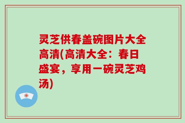 灵芝供春盖碗图片大全高清(高清大全：春日盛宴，享用一碗灵芝鸡汤)