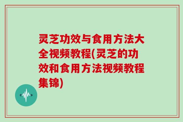 灵芝功效与食用方法大全视频教程(灵芝的功效和食用方法视频教程集锦)