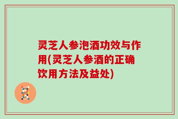 灵芝人参泡酒功效与作用(灵芝人参酒的正确饮用方法及益处)
