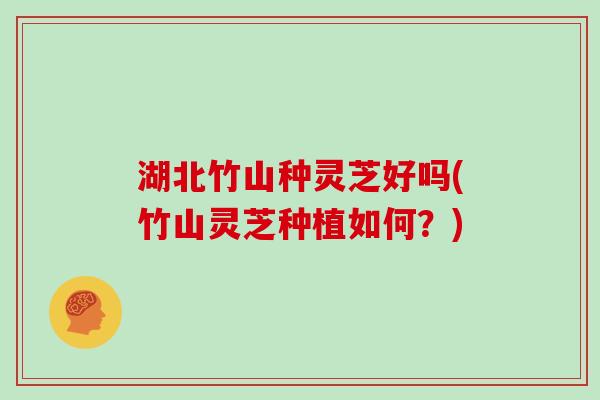 湖北竹山种灵芝好吗(竹山灵芝种植如何？)