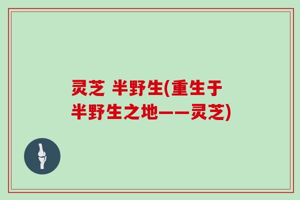 灵芝 半野生(重生于半野生之地——灵芝)