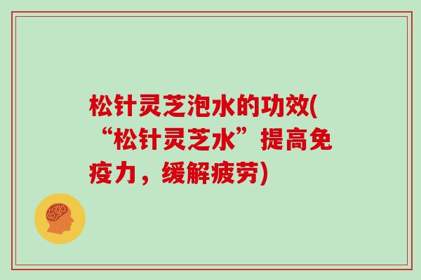 松针灵芝泡水的功效(“松针灵芝水”提高免疫力，缓解疲劳)