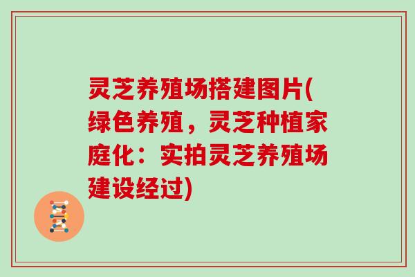 灵芝养殖场搭建图片(绿色养殖，灵芝种植家庭化：实拍灵芝养殖场建设经过)