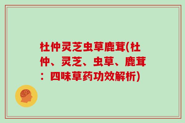 杜仲灵芝虫草鹿茸(杜仲、灵芝、虫草、鹿茸：四味草药功效解析)