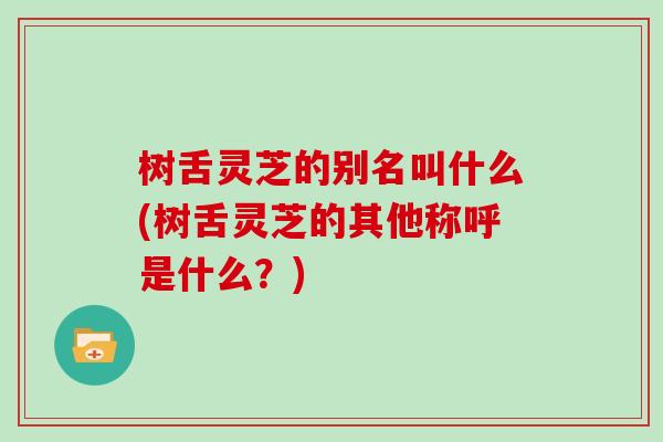 树舌灵芝的别名叫什么(树舌灵芝的其他称呼是什么？)