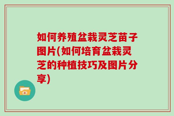 如何养殖盆栽灵芝苗子图片(如何培育盆栽灵芝的种植技巧及图片分享)