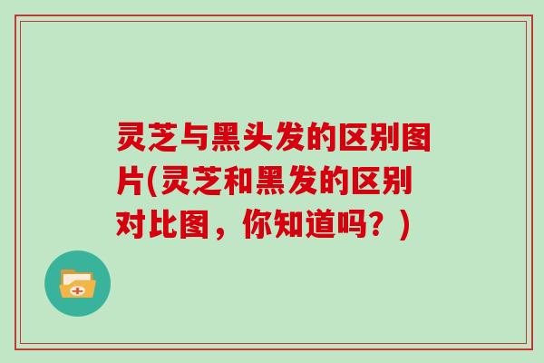 灵芝与黑头发的区别图片(灵芝和黑发的区别对比图，你知道吗？)