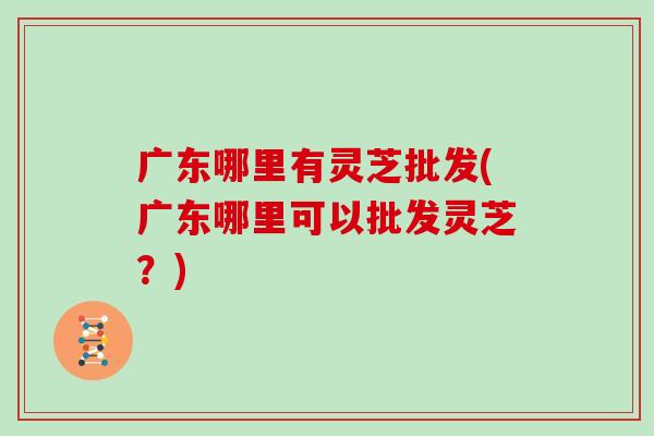 广东哪里有灵芝批发(广东哪里可以批发灵芝？)