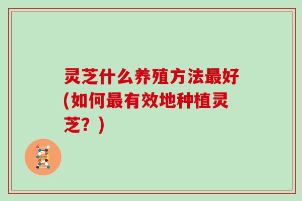 灵芝什么养殖方法最好(如何最有效地种植灵芝？)