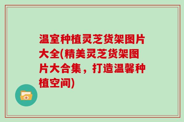 温室种植灵芝货架图片大全(精美灵芝货架图片大合集，打造温馨种植空间)