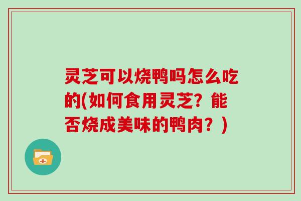 灵芝可以烧鸭吗怎么吃的(如何食用灵芝？能否烧成美味的鸭肉？)