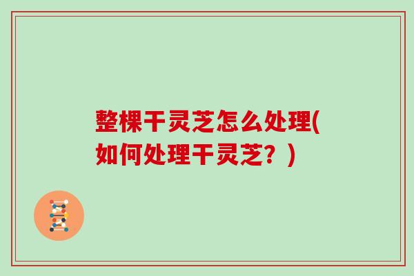 整棵干灵芝怎么处理(如何处理干灵芝？)
