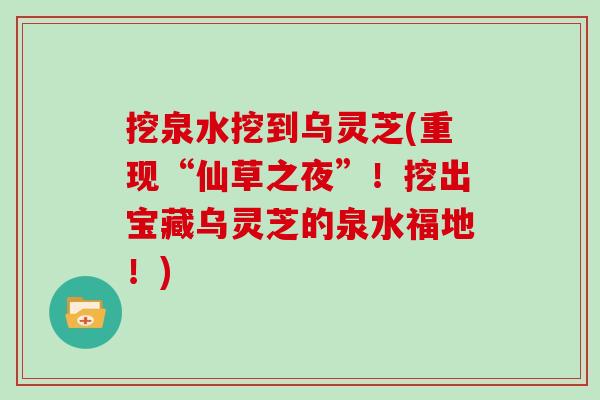 挖泉水挖到乌灵芝(重现“仙草之夜”！挖出宝藏乌灵芝的泉水福地！)