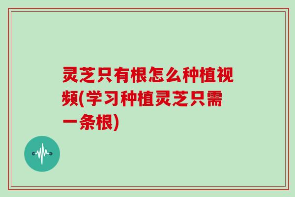 灵芝只有根怎么种植视频(学习种植灵芝只需一条根)-第1张图片-灵芝大师 灵芝只有根怎么种植视频(学习种植灵芝只需一条根)-第1张图片-灵芝大师