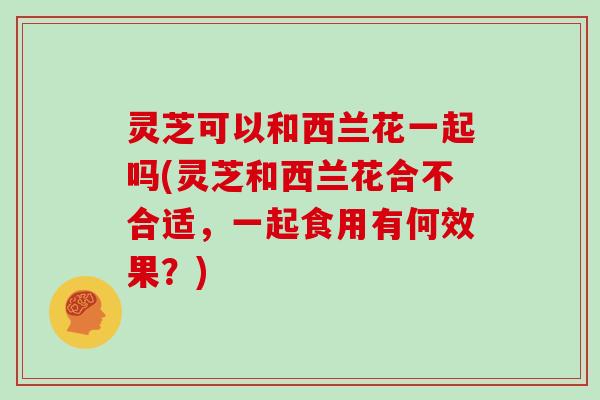 灵芝可以和西兰花一起吗(灵芝和西兰花合不合适,一起食用有何效果?)-第1张图片-灵芝大师 灵芝可以和西兰花一起吗(灵芝和西兰花合不合适,一起食用有何效果?)-第1张图片-灵芝大师