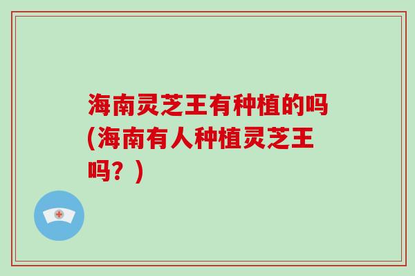 海南灵芝王有种植的吗(海南有人种植灵芝王吗？)