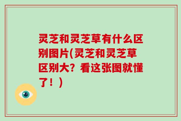 灵芝和灵芝草有什么区别图片(灵芝和灵芝草区别大？看这张图就懂了！)