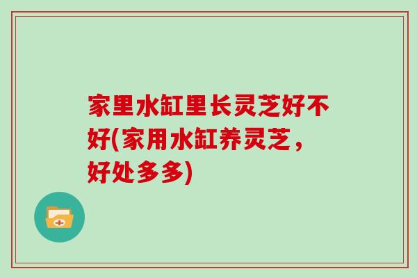 家里水缸里长灵芝好不好(家用水缸养灵芝，好处多多)