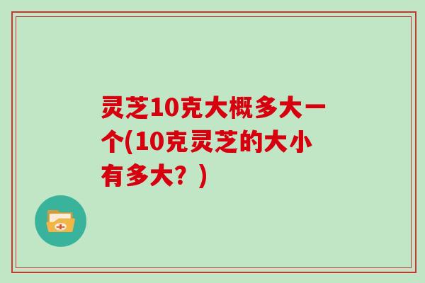灵芝10克大概多大一个(10克灵芝的大小有多大？)-第1张图片-灵芝大师