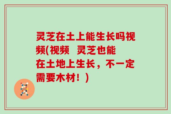 灵芝在土上能生长吗视频(视频  灵芝也能在土地上生长，不一定需要木材！)