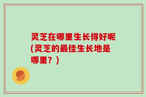 灵芝在哪里生长得好呢(灵芝的最佳生长地是哪里？)