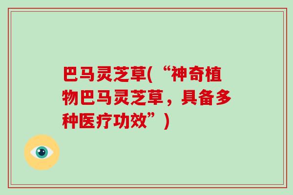巴马灵芝草(“神奇植物巴马灵芝草，具备多种医疗功效”)