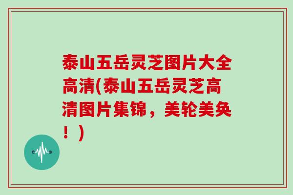 泰山五岳灵芝图片大全高清(泰山五岳灵芝高清图片集锦，美轮美奂！)