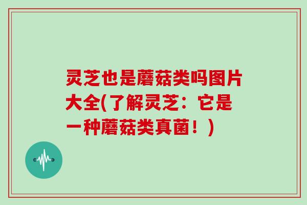 灵芝也是蘑菇类吗图片大全(了解灵芝：它是一种蘑菇类真菌！)
