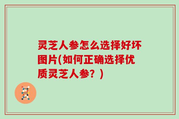 灵芝人参怎么选择好坏图片(如何正确选择优质灵芝人参？)