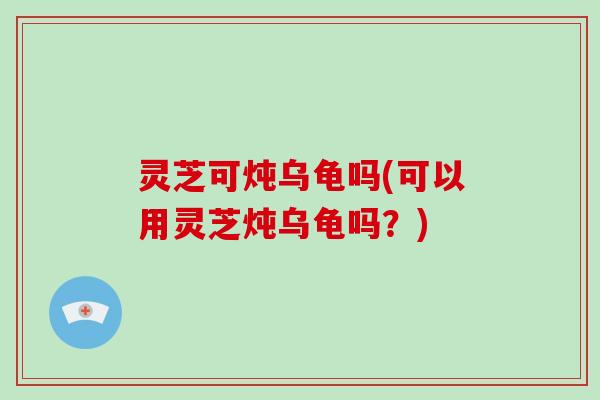 灵芝可炖乌龟吗(可以用灵芝炖乌龟吗？)