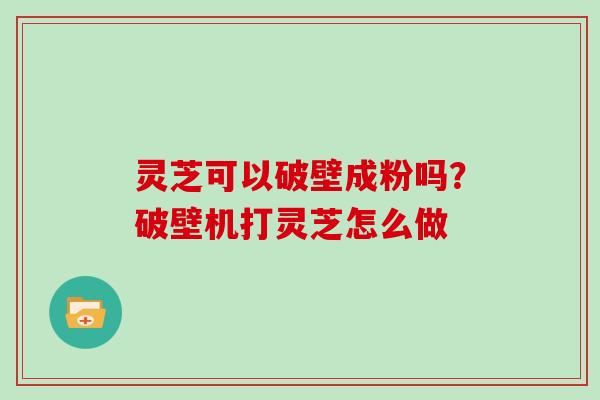 灵芝可以破壁成粉吗？破壁机打灵芝怎么做