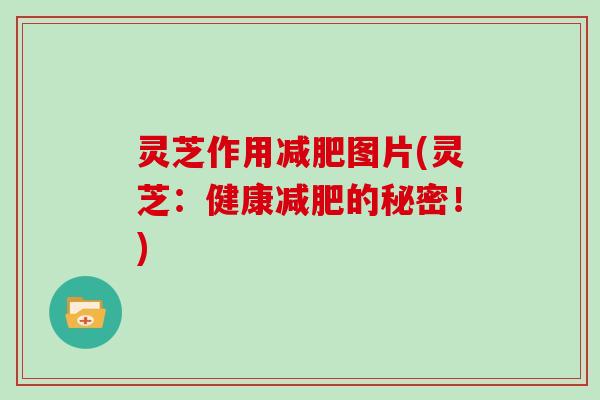 灵芝作用减肥图片(灵芝：健康减肥的秘密！)