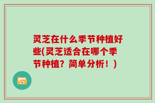 灵芝在什么季节种植好些(灵芝适合在哪个季节种植？简单分析！)