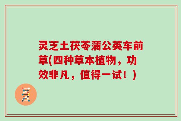 灵芝土茯苓蒲公英车前草(四种草本植物，功效非凡，值得一试！)