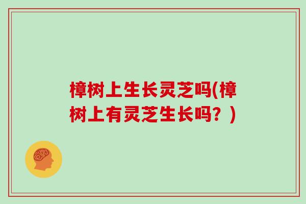 樟树上生长灵芝吗(樟树上有灵芝生长吗？)