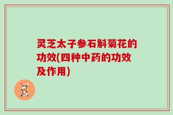 灵芝太子参石斛菊花的功效(四种中药的功效及作用)