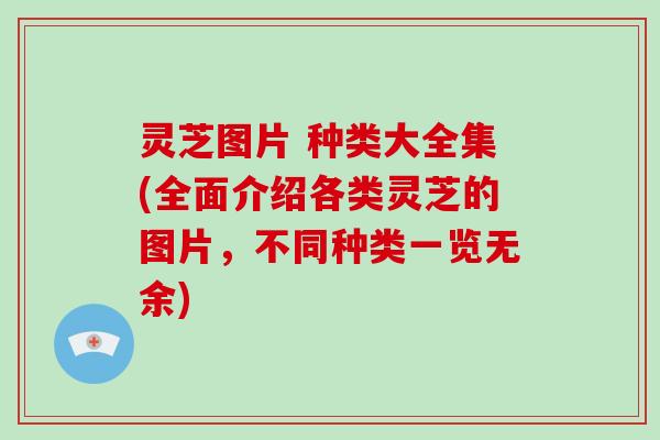 灵芝图片 种类大全集(全面介绍各类灵芝的图片，不同种类一览无余)