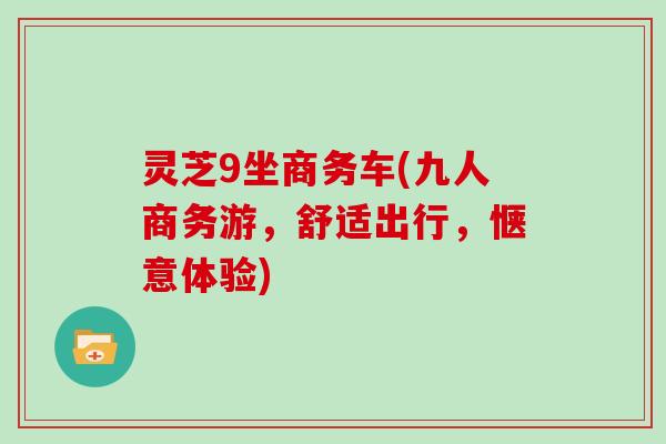 灵芝9坐商务车(九人商务游，舒适出行，惬意体验)
