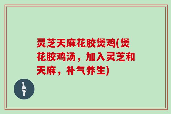 灵芝天麻花胶煲鸡(煲花胶鸡汤，加入灵芝和天麻，补气养生)