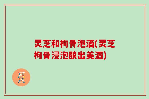 灵芝和枸骨泡酒(灵芝枸骨浸泡酿出美酒)