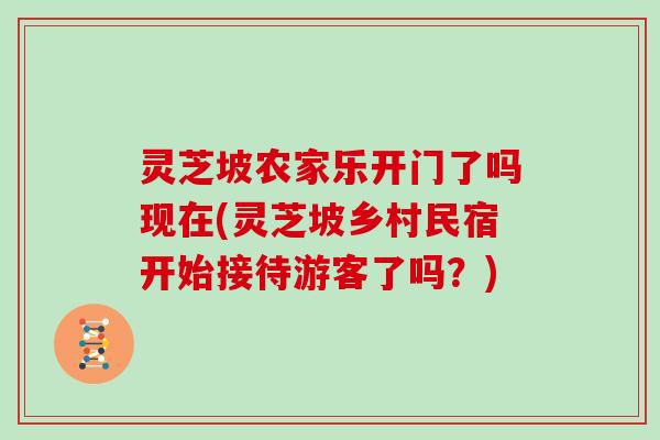 灵芝坡农家乐开门了吗现在(灵芝坡乡村民宿开始接待游客了吗？)