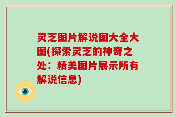灵芝图片解说图大全大图(探索灵芝的神奇之处：精美图片展示所有解说信息)