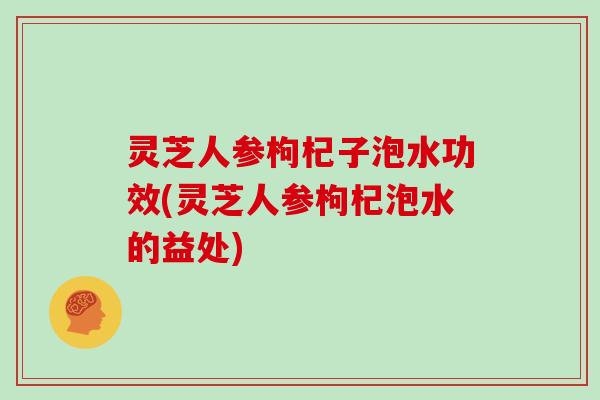 灵芝人参枸杞子泡水功效(灵芝人参枸杞泡水的益处)